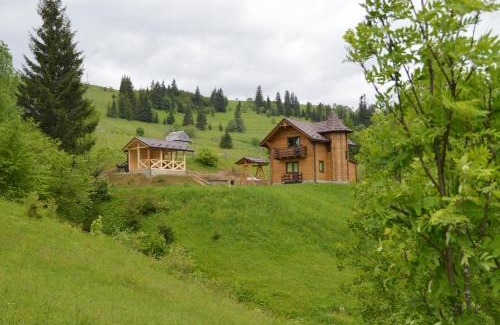 Yablunytsya Casa | Пагорб Їжака/Hedgehog Hill