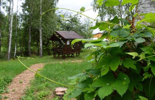 Yerkiv Otro | Парк природи Беремицьке та Парк-готель Лісове Озеро