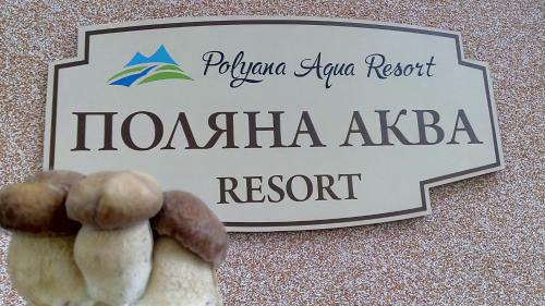 Polyana Casa | Поляна Аква Резорт