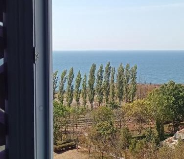 Yuzhne Apartamento | Посуточно квартира у моря