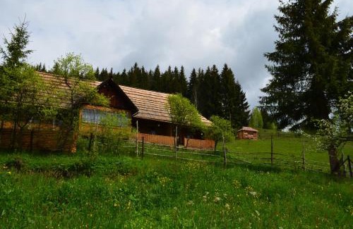 Vorokhta Apartamento | Приватна садиба 'Світлиця гуцульщини"