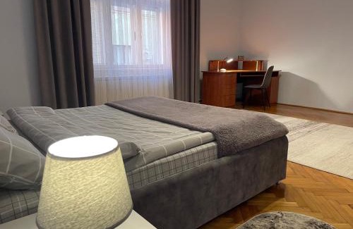 Chernovtsy Apartamento | Простора квартира поряд ЧНУ