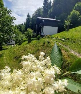 Podobovets Chalet De Esquí | Під Боржавою