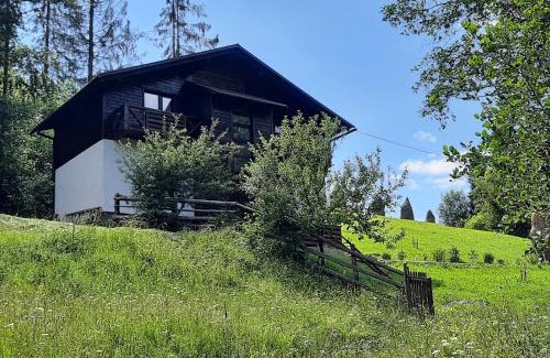 Podobovets Chalet De Esquí | Під Боржавою