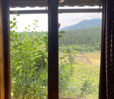 Yasinya Apartamento | Під Явором