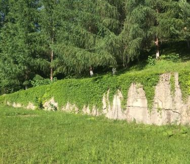 Snidavka Casa | Ромашка