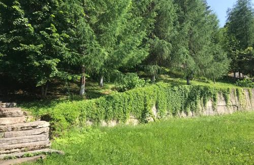 Snidavka Casa | Ромашка