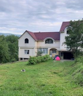 Perechin Villa | Садиба в Бабаєво