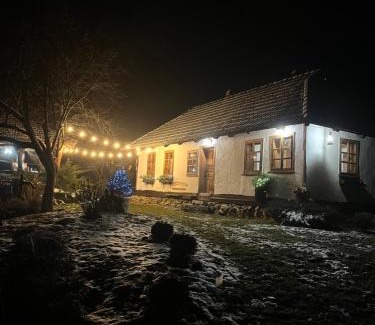 Vyzhnytsya Casa | Садиба Гардига