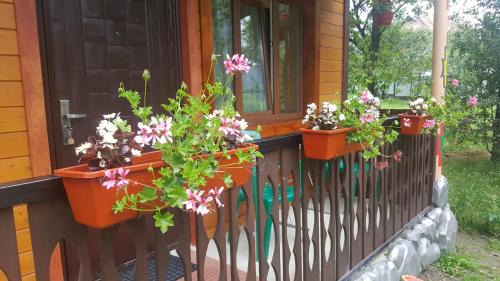 Yaremche Casa | Садиба Гуцулка Ксеня