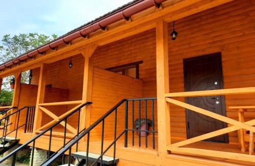 Nizhneye Sinevidnoye Casa | Садиба У Романа 'двохрівневий номер'