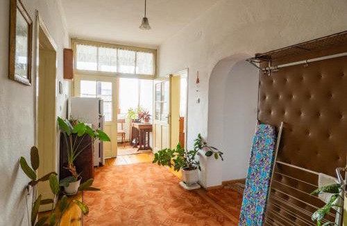 Razlog Apartamento | Стаи за гости Божана