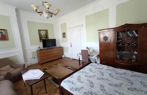 Uzhhorod Apartamento | Старовинні апартаменти у центрі міста