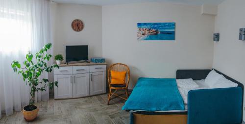 Uzhhorod Apartamento | Стильная уютная апарт-студия SILENA