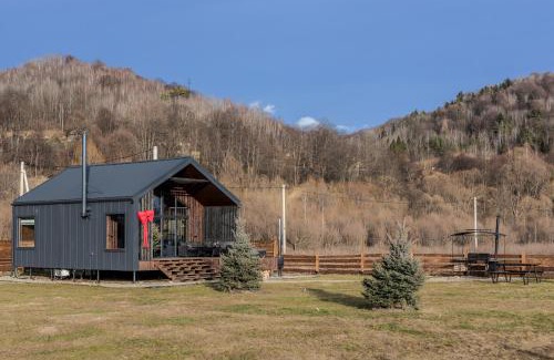 Nizhneye Sinevidnoye Chalet De Esquí | Стожари, Stozhary