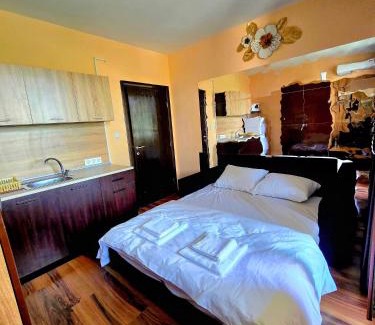 Sandanski Apartamento | Студио Кокетно