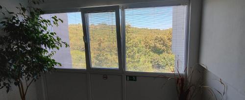 Malko Tarnovo Apartamento | Студио Странджа - Граматиково