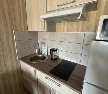 Petrovskoye Apartamento | Студія 7 небо, 5 хвилин від залізнисного вокзалу