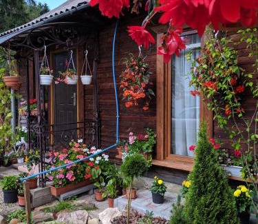 Vorokhta Casa | Сімейна хатинка