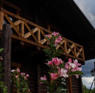 Dubyna Chalet De Esquí | сottage "Ksenija" котедж "Ксенія"