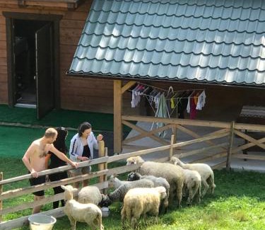 Yablunytsya Casa | Трембіта котедж