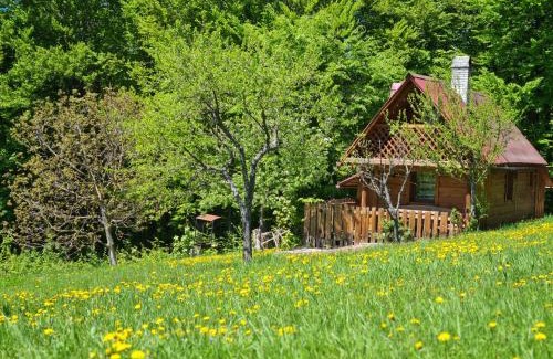 Rakhiv Casa | Трембіта
