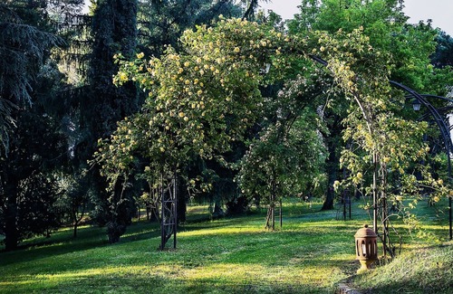 Citta della Pieve Villa | Villa de barón con parque y piscina en la frontera de Toscana y Umbría
