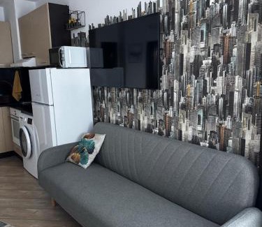 Shiligarnika Apartamento | Уютно планинско студио със СПА център в комплекс Алпин Лодж
