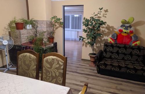 Yasinia Casa | У Наталії