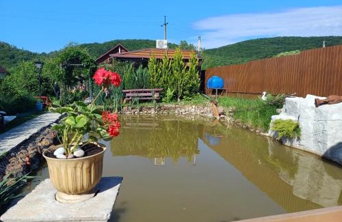 Chynadievo Casa | У Фёдера и Маргариты
