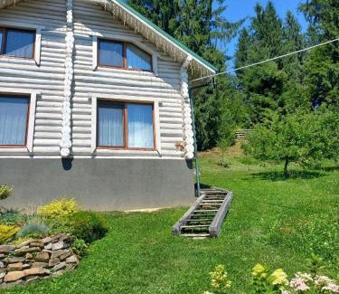 Yasinya Apartamento | Шепіт лісу