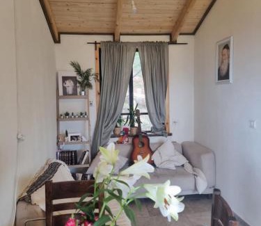 Jaffa Casa | בין הצמרות - צימר בבת עין