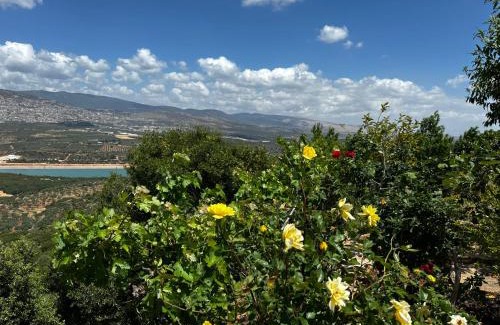 Ilabun Apartamento | בית אום ג'מאל - משפחת דגש