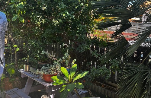 Bet Hananya Casa | וילה בכפר קרוב לים