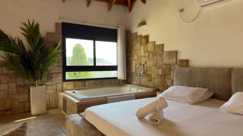 Safed Casa | נוף בראשית - סוויטות בוטיק