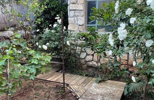Mitzpe Hila Cama Y Desayuno | פינה ירוקה בגליל