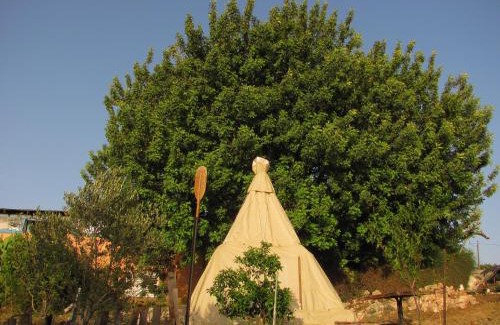 Tabash Cama Y Desayuno | שבט אחים - Galilee Bedouin Camplodge - חווית אירוח ייחודית בטבאש