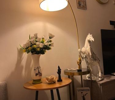 Shaqra Apartamento | اســتديو فـــخمة