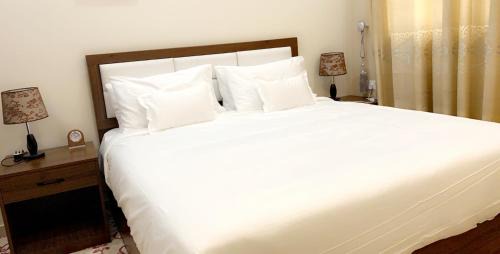 Bisha Hotel | برج الأعمال