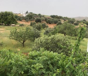 Ajloun Governorate Casa | بيت مستقل مع حديقة فواكه 3 غرف نوم وتكييف ومجلس