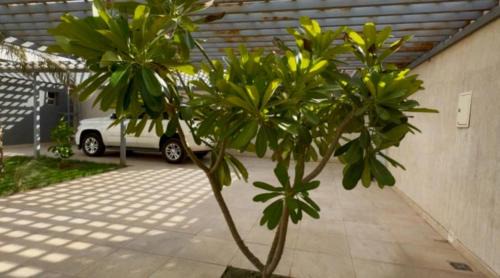 Banban Chalet De Esquí | شاليه الماسيه خاص و مميز بأحدث المواصفات لنصنع الجمال بعينه