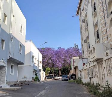 Abha Apartamento | شقق شهم المفروشه