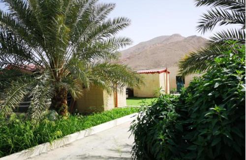 Ash Sharqiyah North Governorate Casa | مزرعة نحل العسل