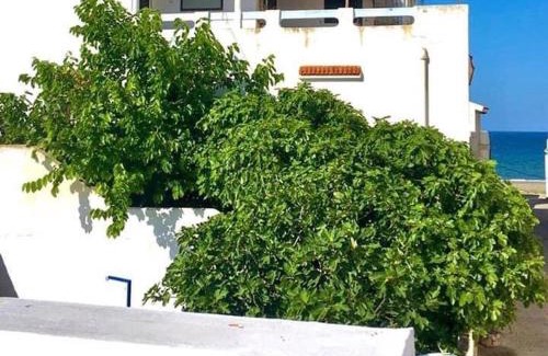 Oued Laou Apartamento | منزل حوالي 50متر من البحر