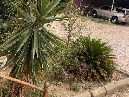 Khamis Mushait Casa | منزل