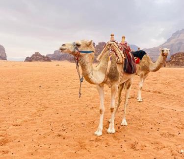 Wadi Rum Apartamento | وادي رم إبوفيصل