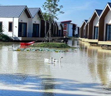 Lamphun Complejo | ซิตี้ รีสอร์ท