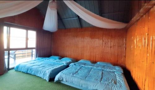 Chiang Saen Casa | ดอยสะโง้วิวโฮมสเตย์บ้านหลังใหญ่