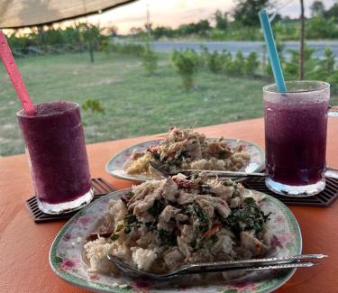 Buriram Otro | ทุ่งนากางเต้นท์ Countryside