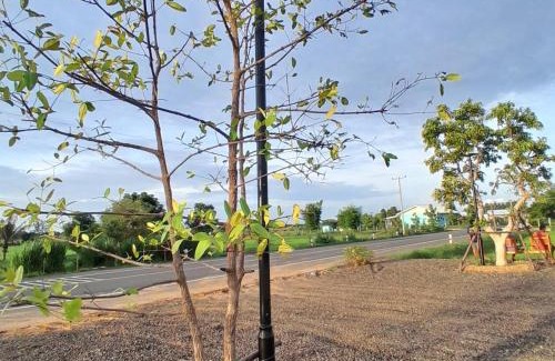 Buriram Otro | ทุ่งนา แคมป์